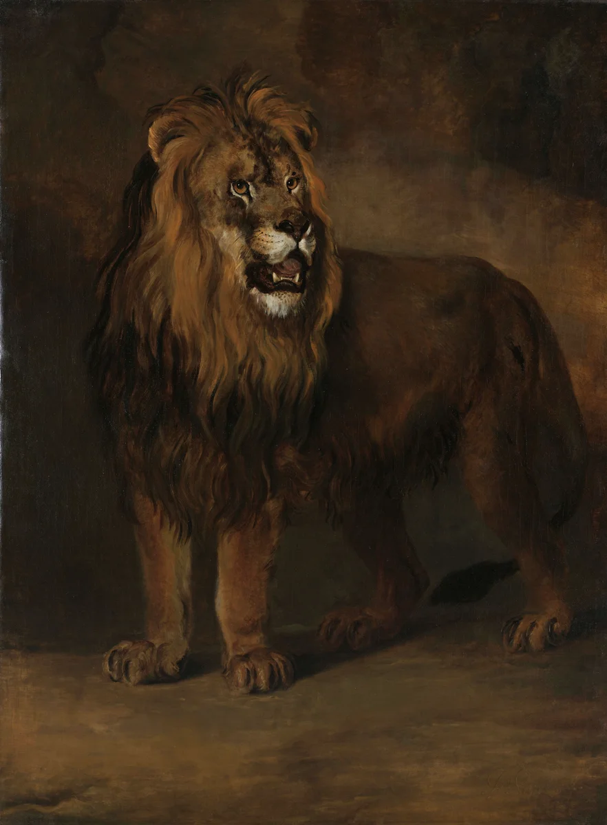 Lion 3