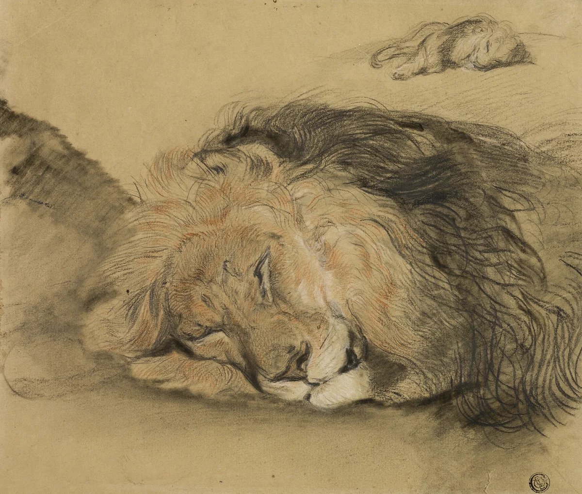 Lion 4