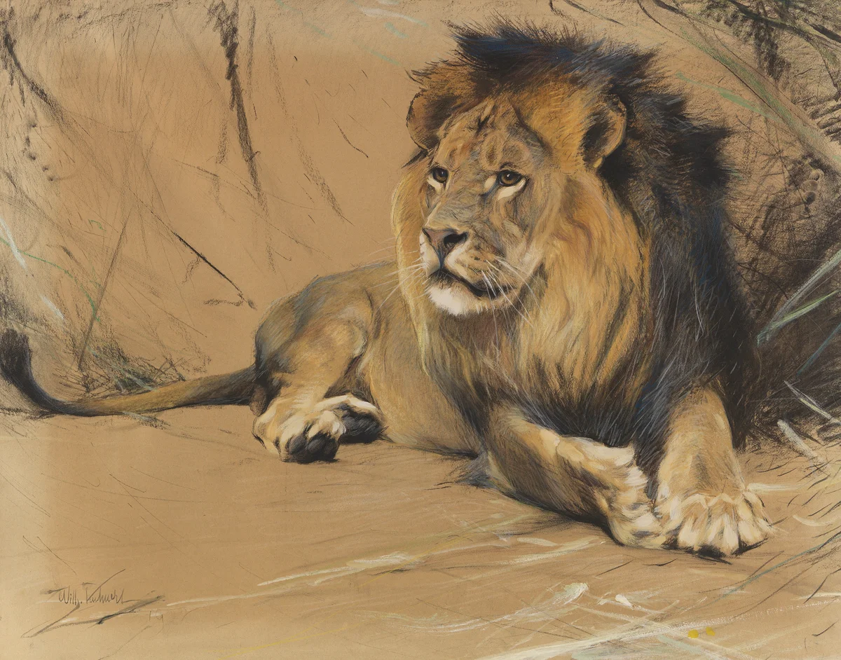 Lion 5