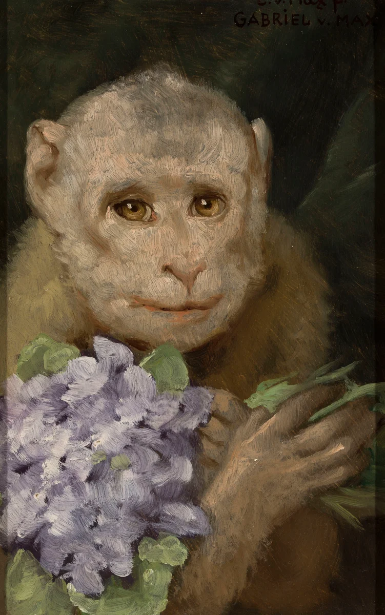 Monkey 1