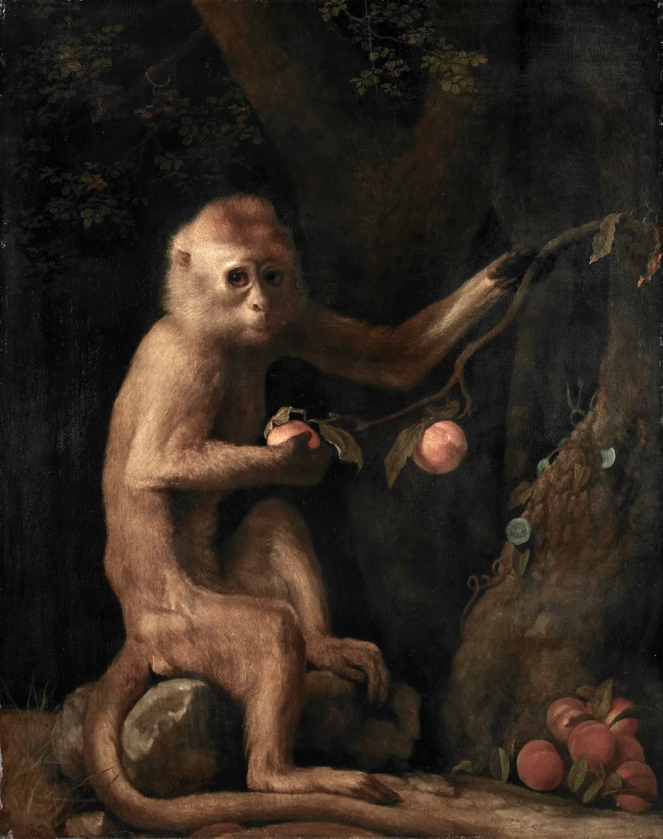 Monkey 3
