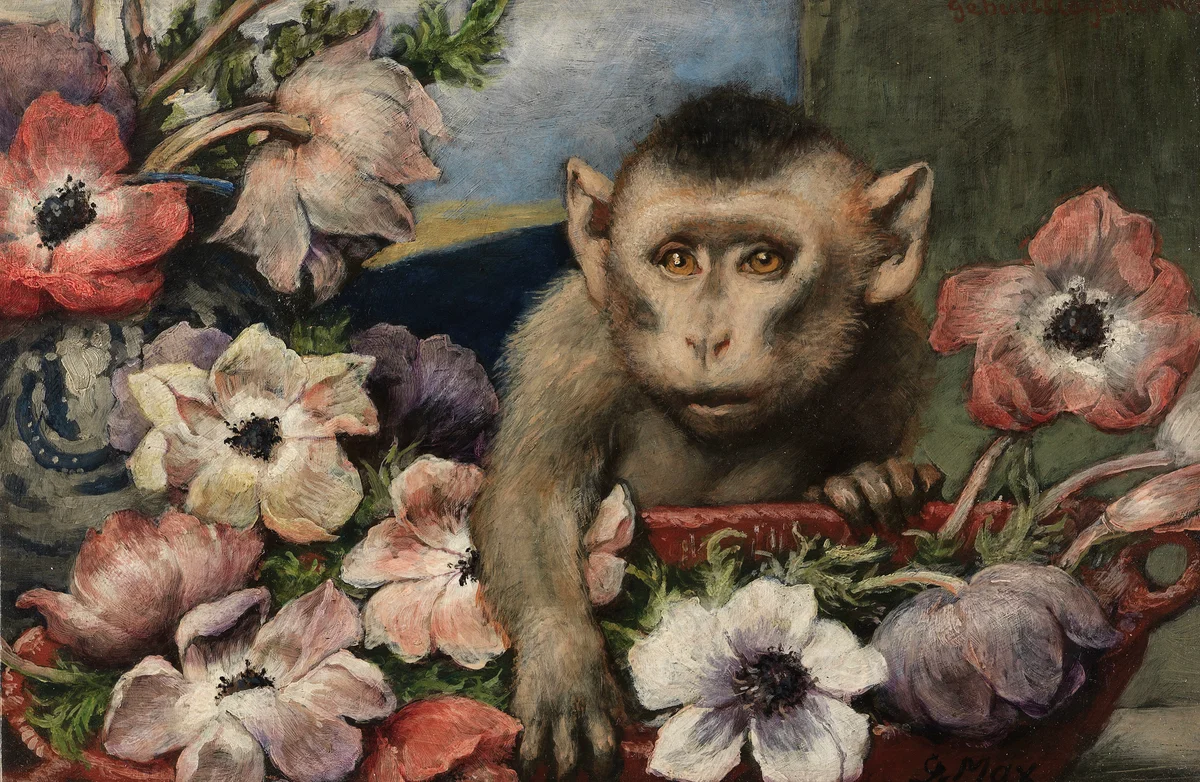 Monkey 4