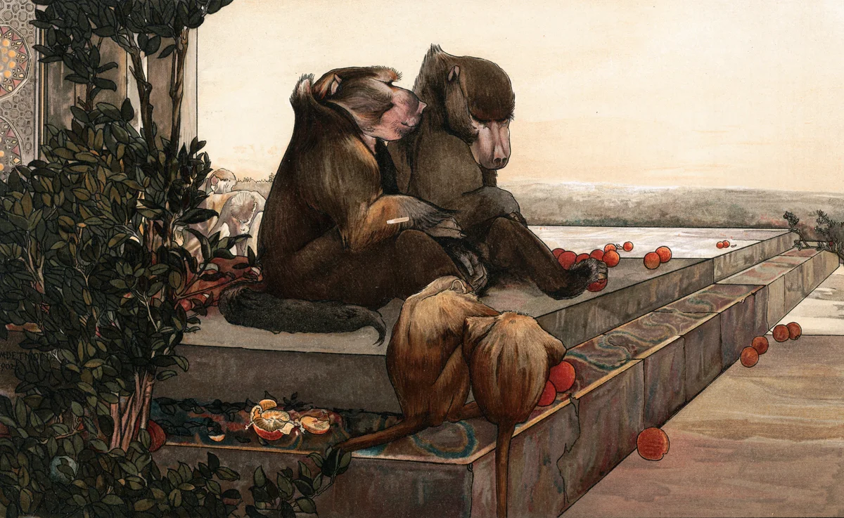 Monkey 16 1