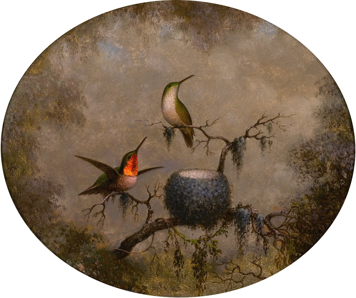 Nest 4