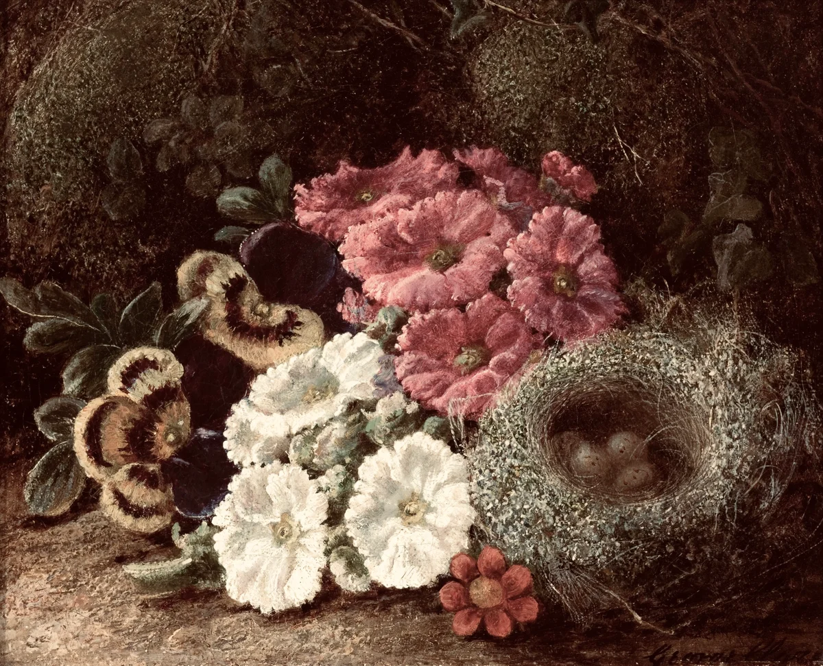 Nest 9