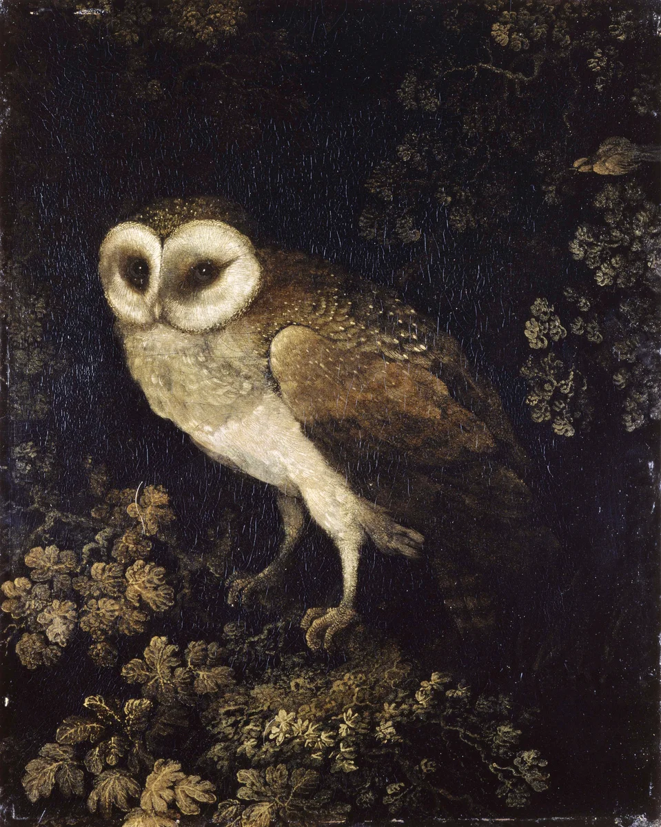 Owl 2 2