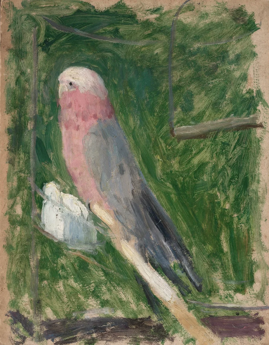 Parrots 2