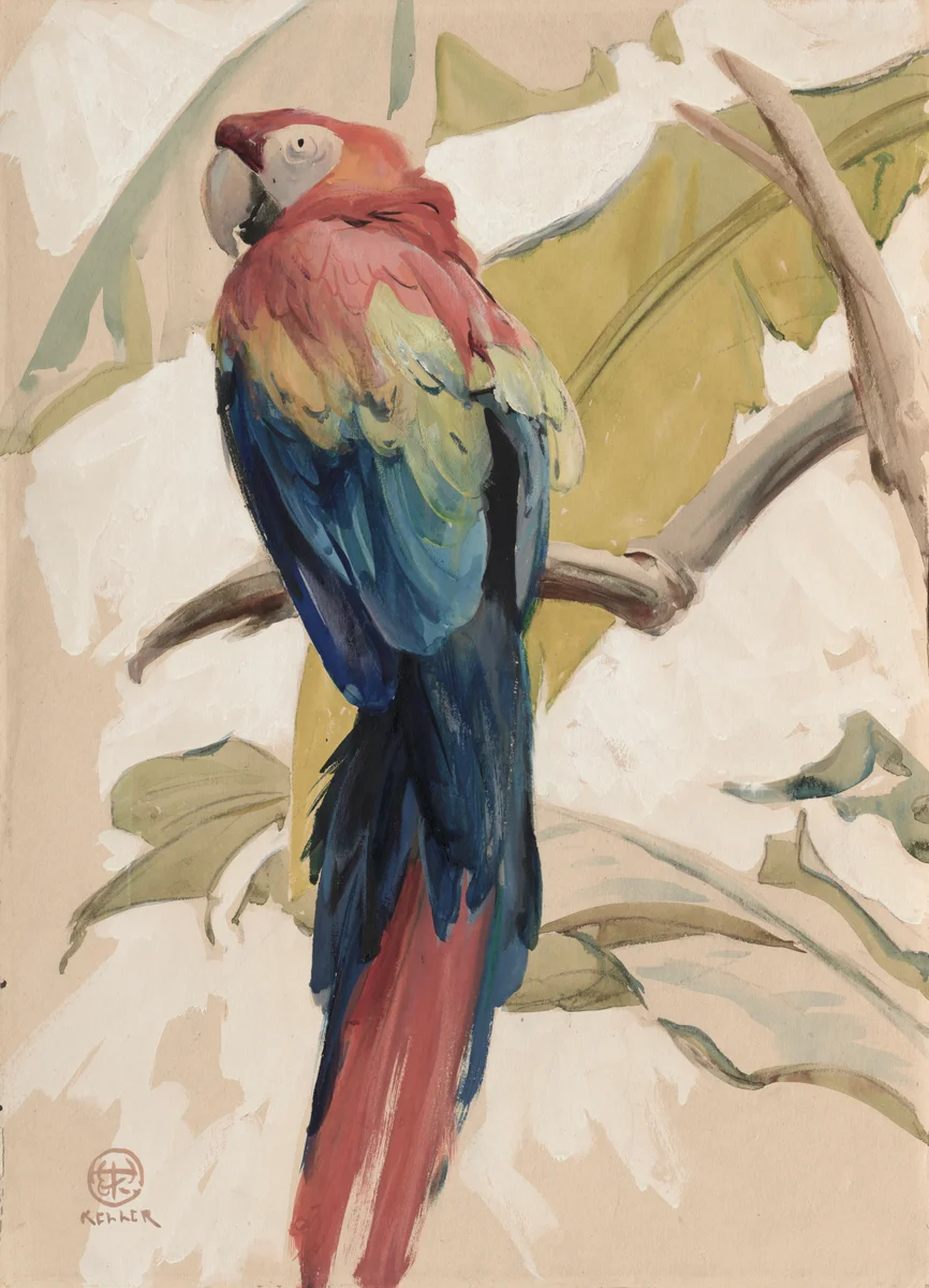 Parrots 3