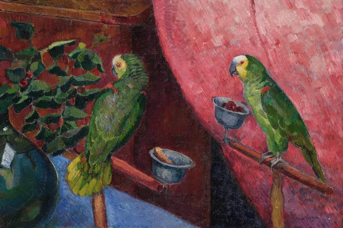 Parrots 4