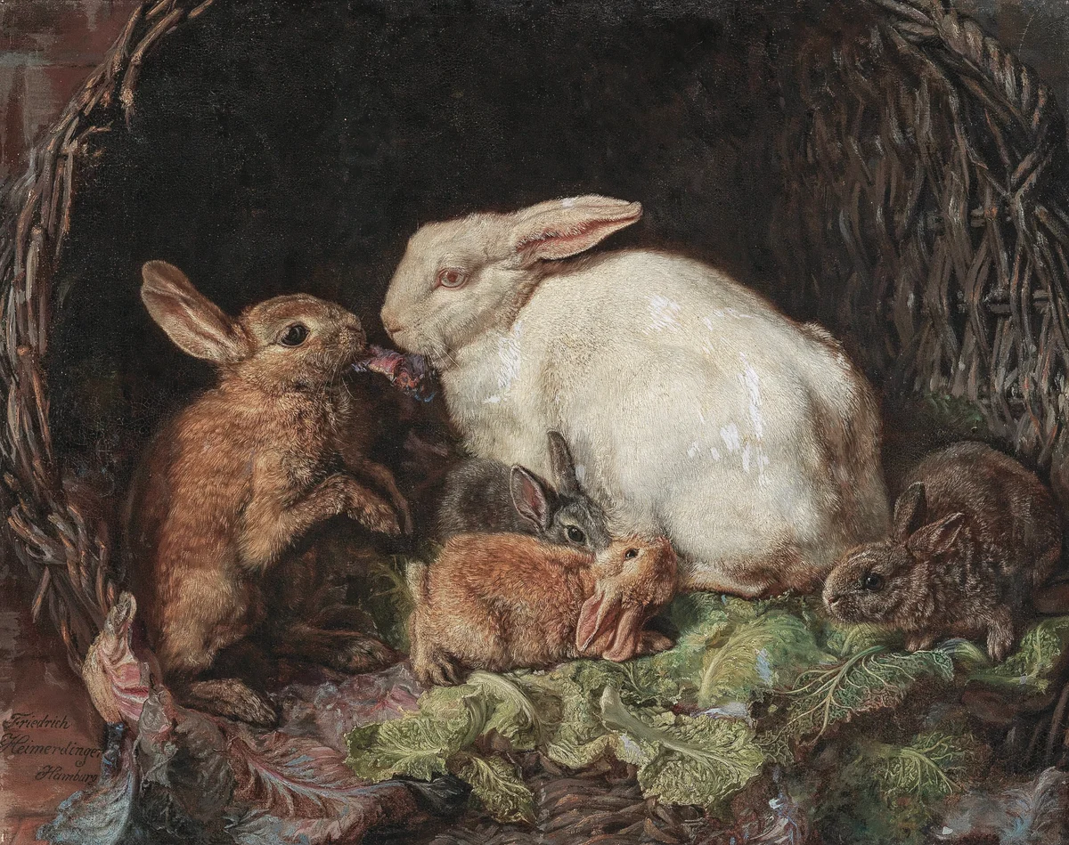 Rabbits 2
