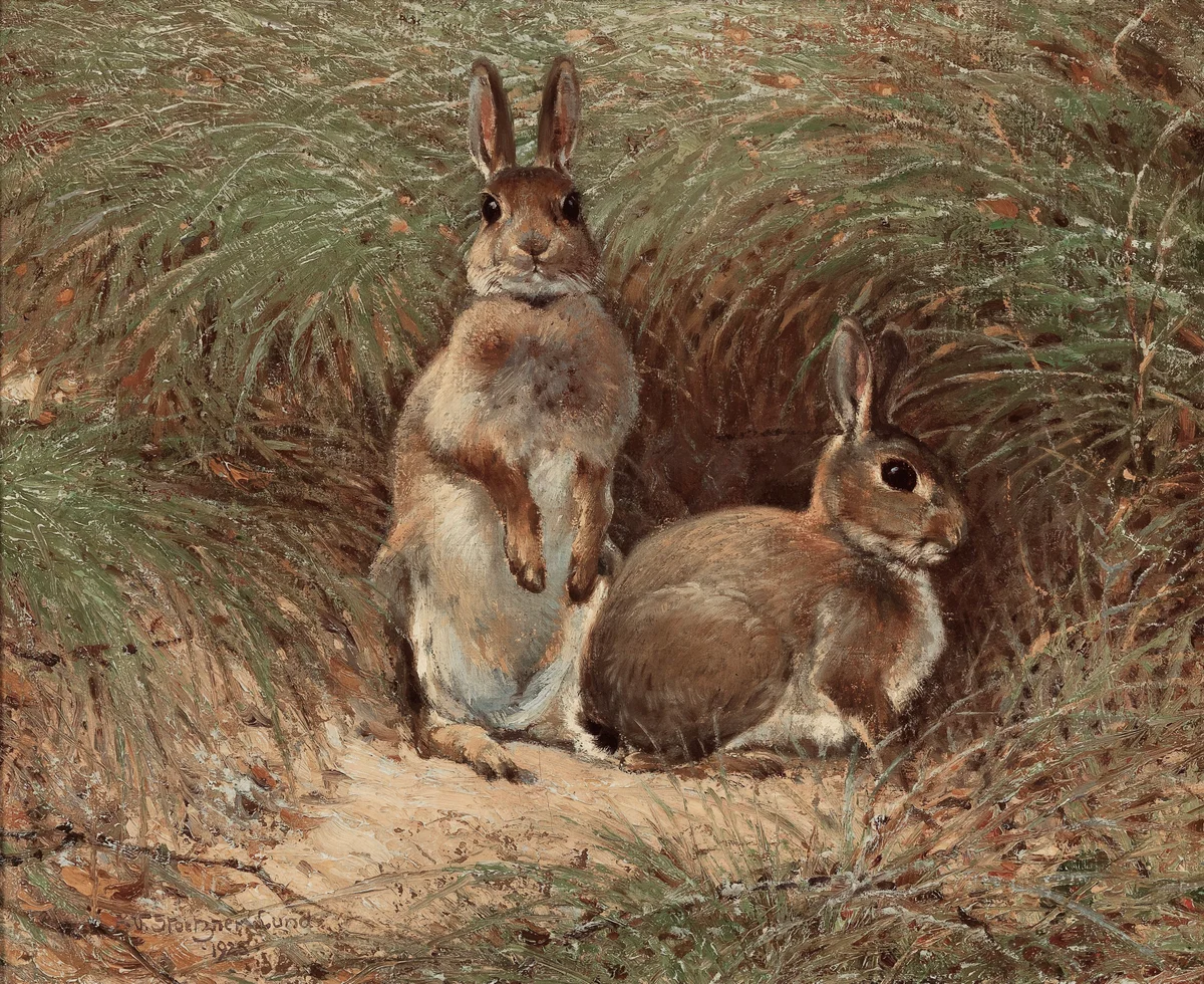 Rabbits 3