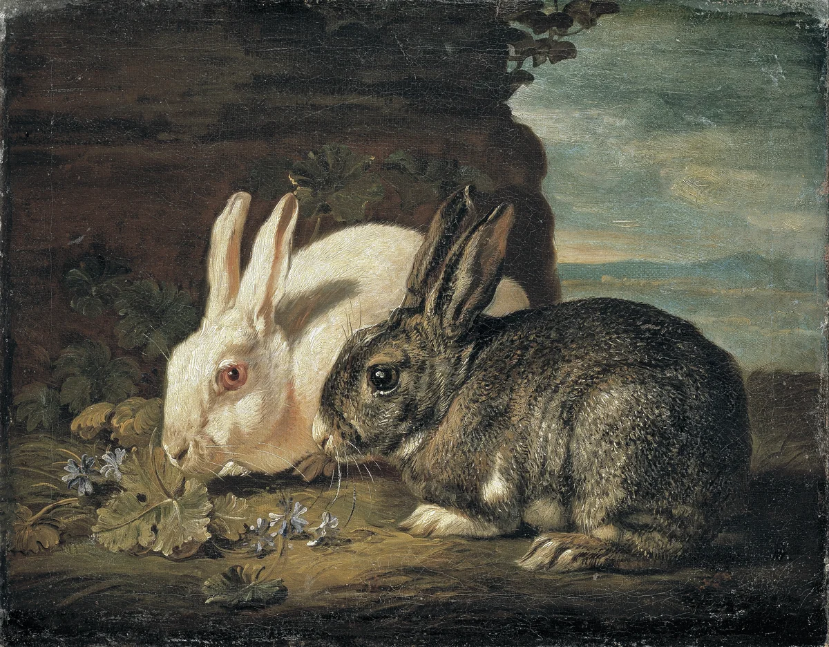 Rabbits 4