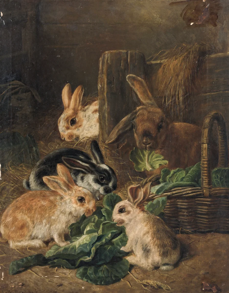 Rabbits 5