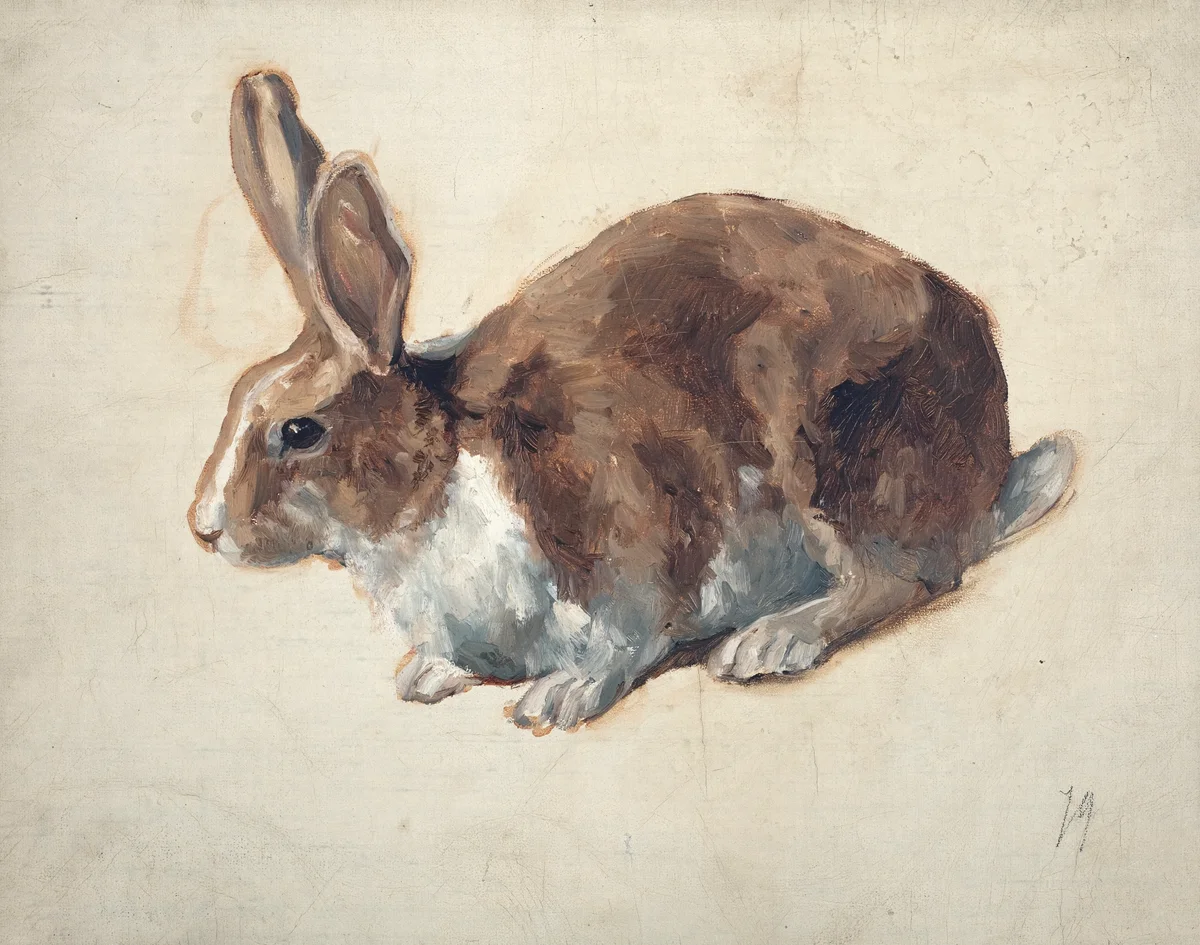 Rabbits 78 1