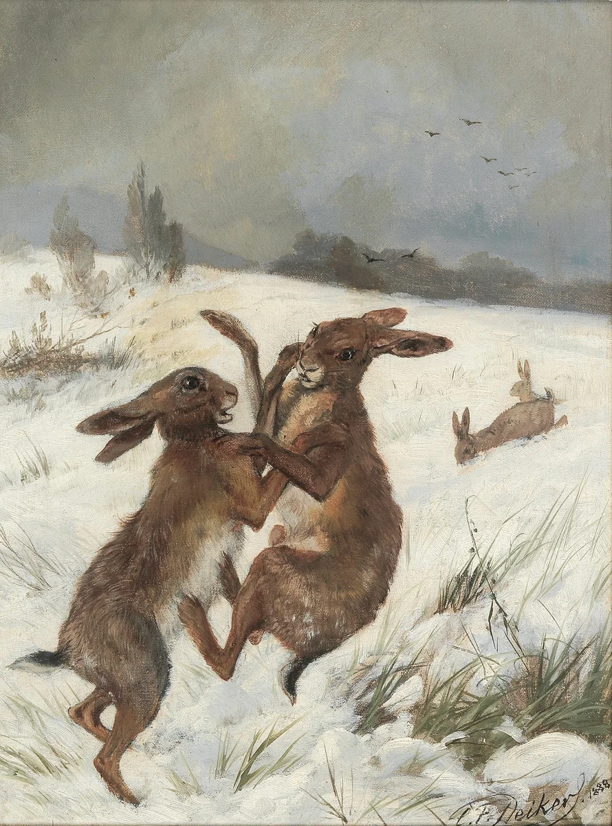 Rabbits 78 2