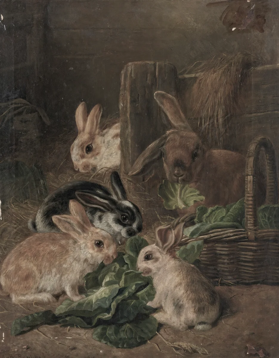 Rabbits 78 3