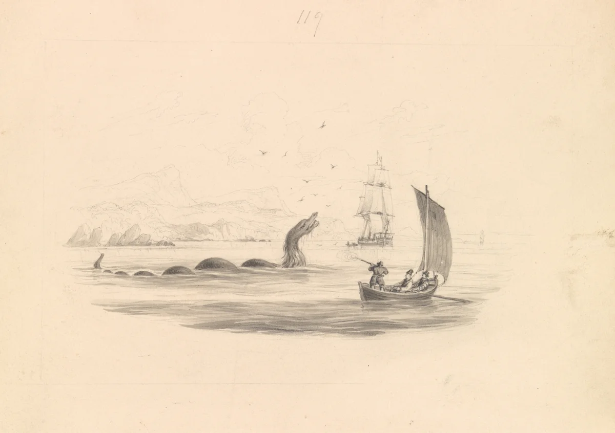 Sea Animals 6