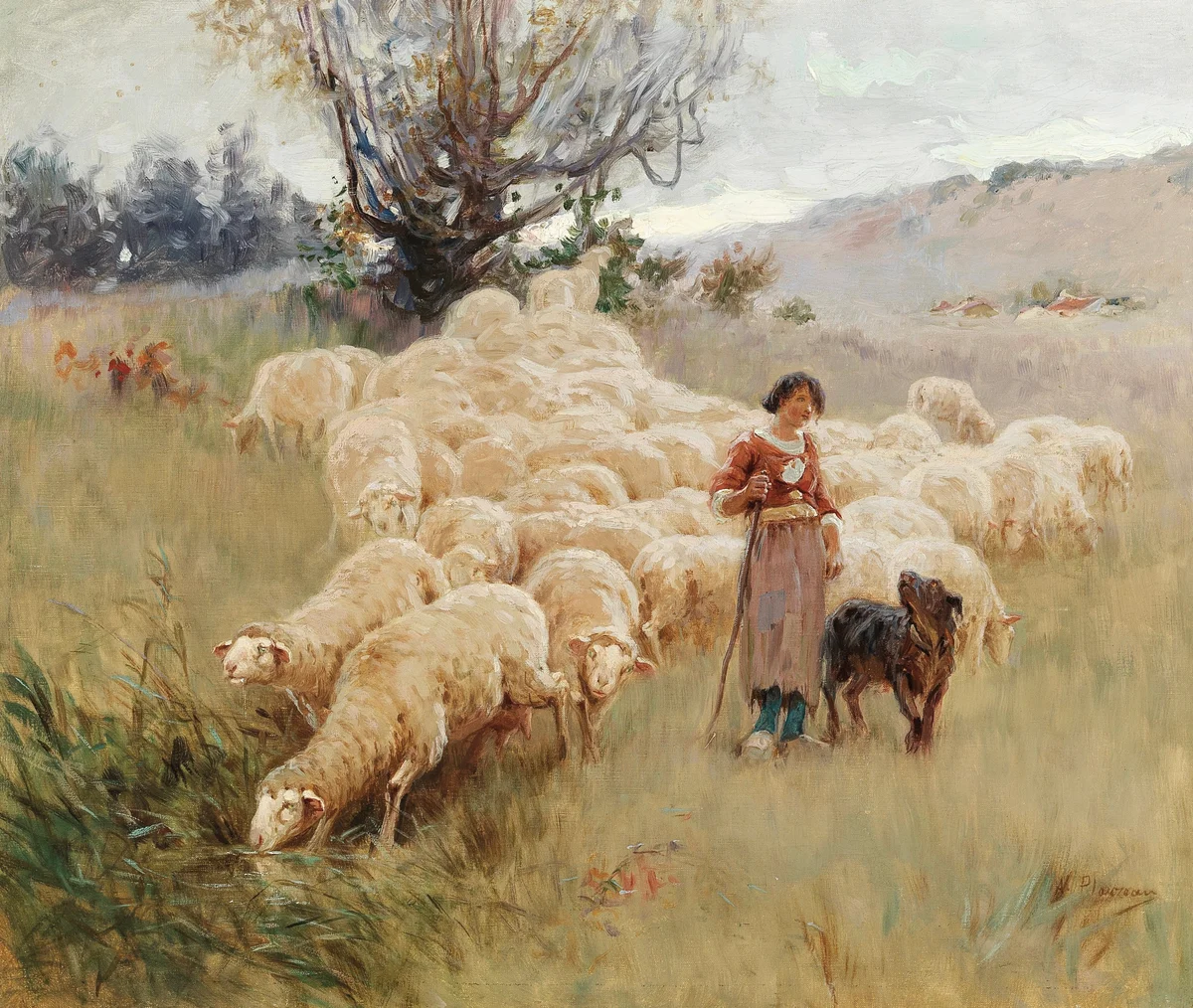 Sheeps 8