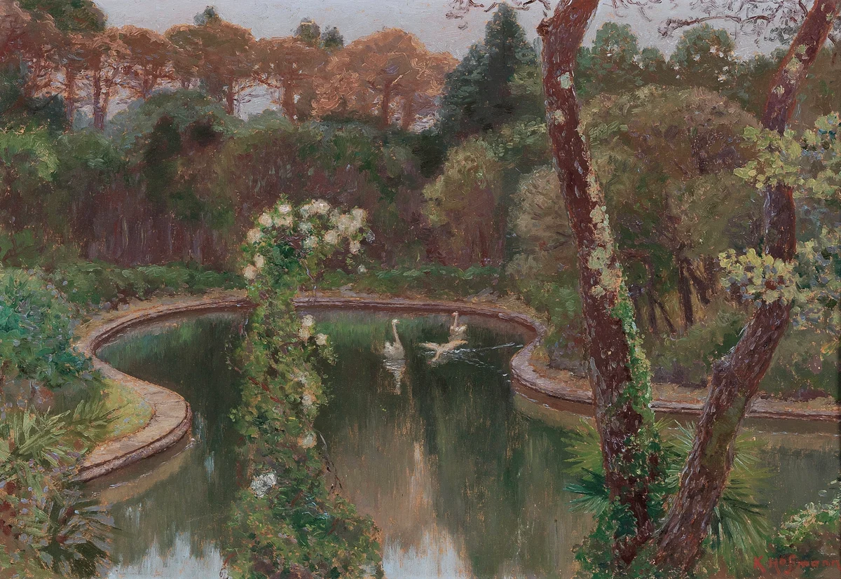 Swan 1