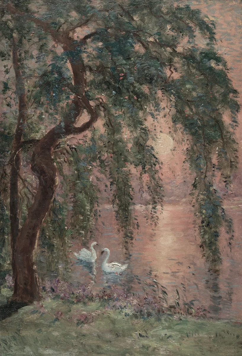 Swan 11 2