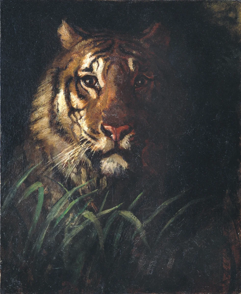 Tiger 3 1