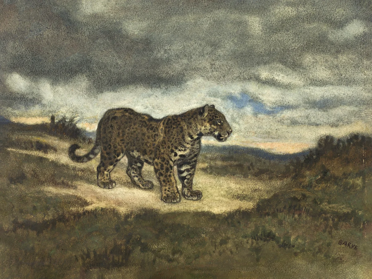 Tiger 3 5