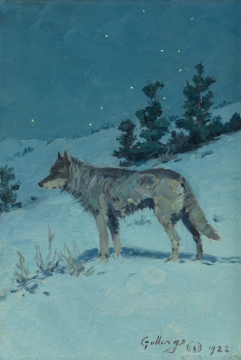 Wolf 2