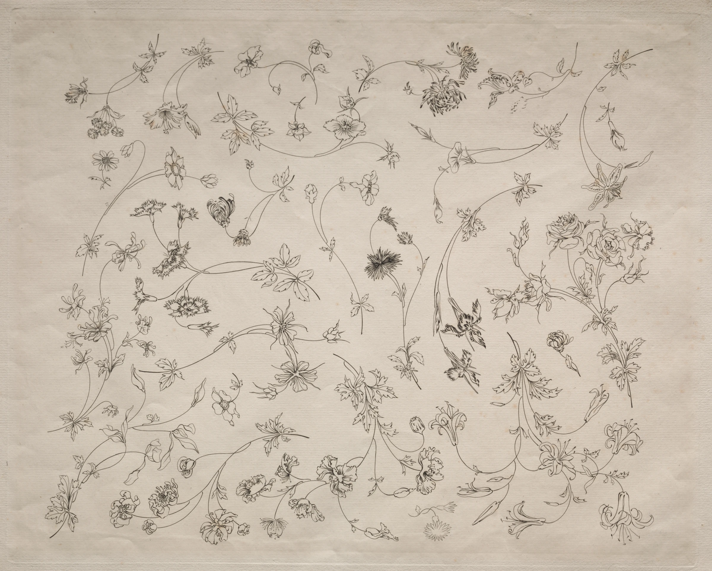 Flower designs for plates and borders (no. 14) by Félix Bracquemond