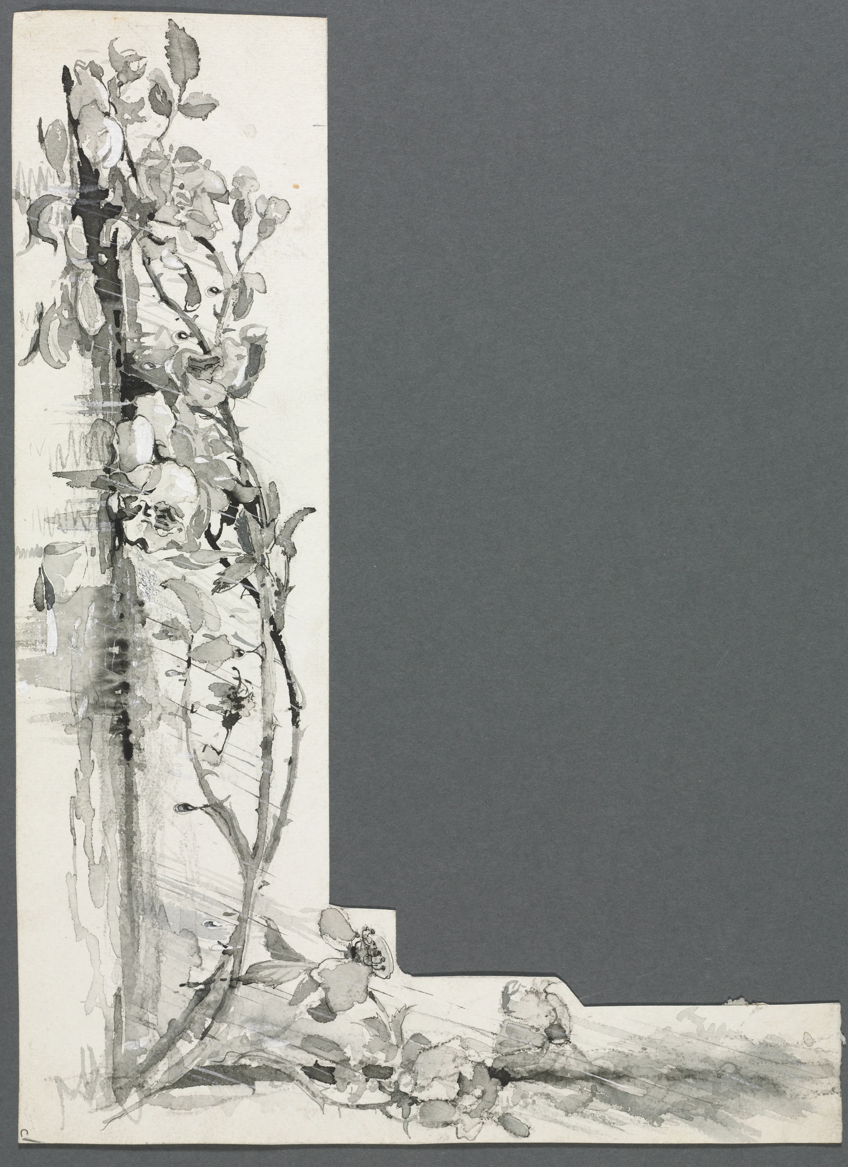 Flower Study by Harry Fenn
