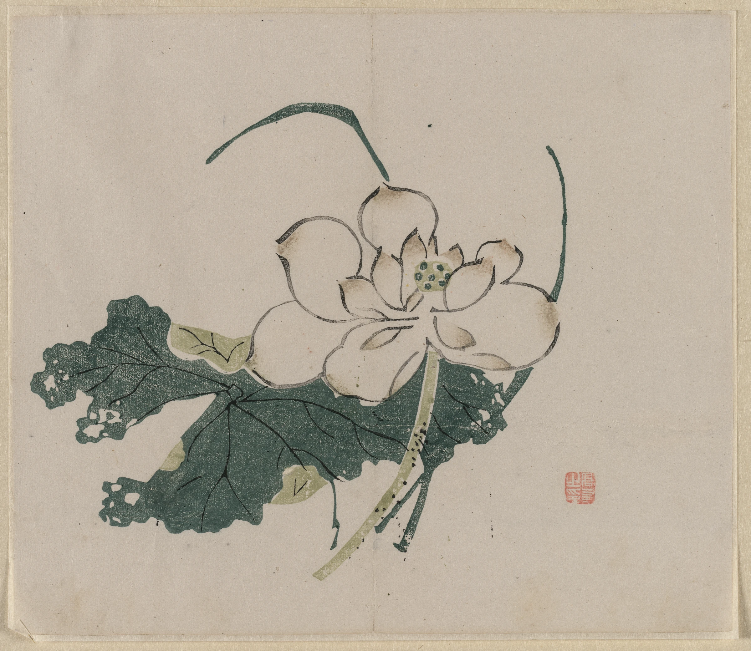 Lotus Blossom