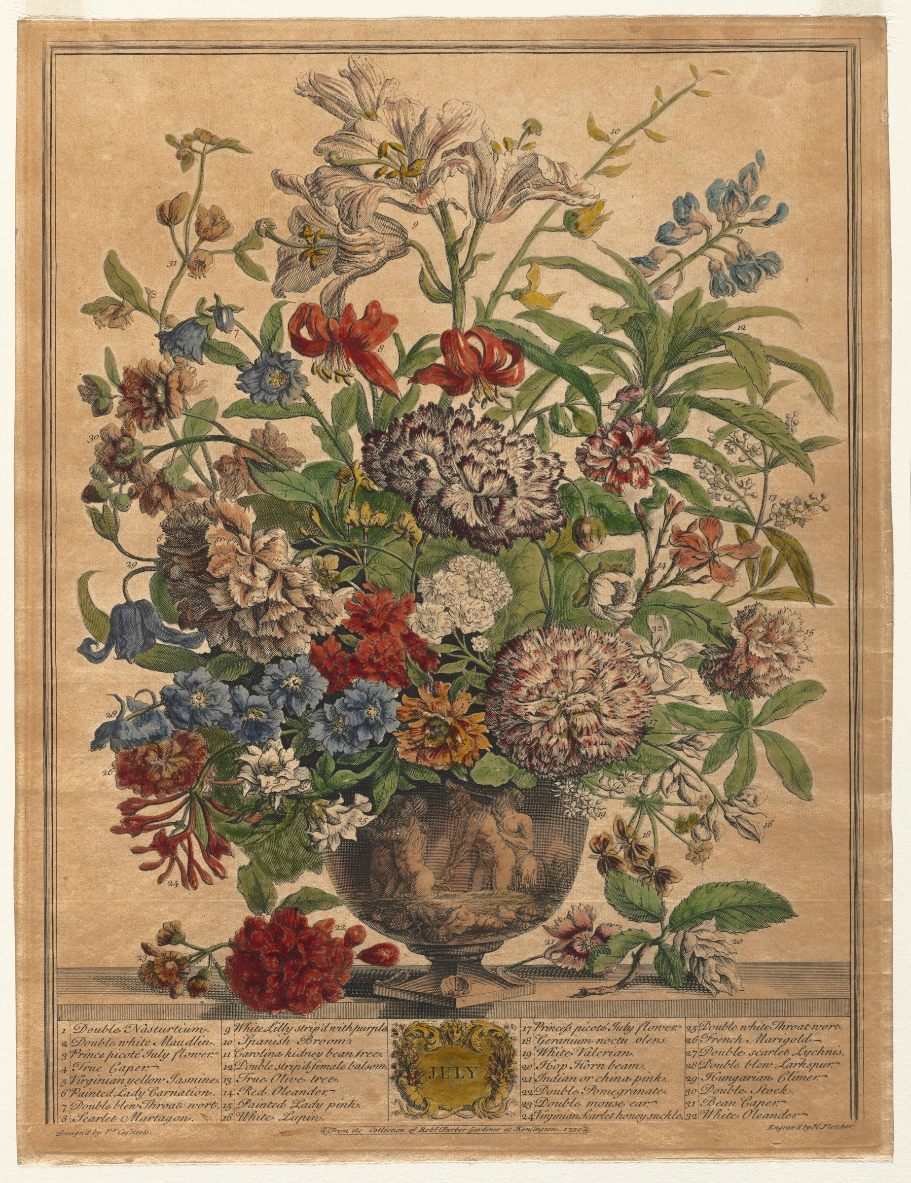 Twelve Months of Flowers: July by Henry Fletcher