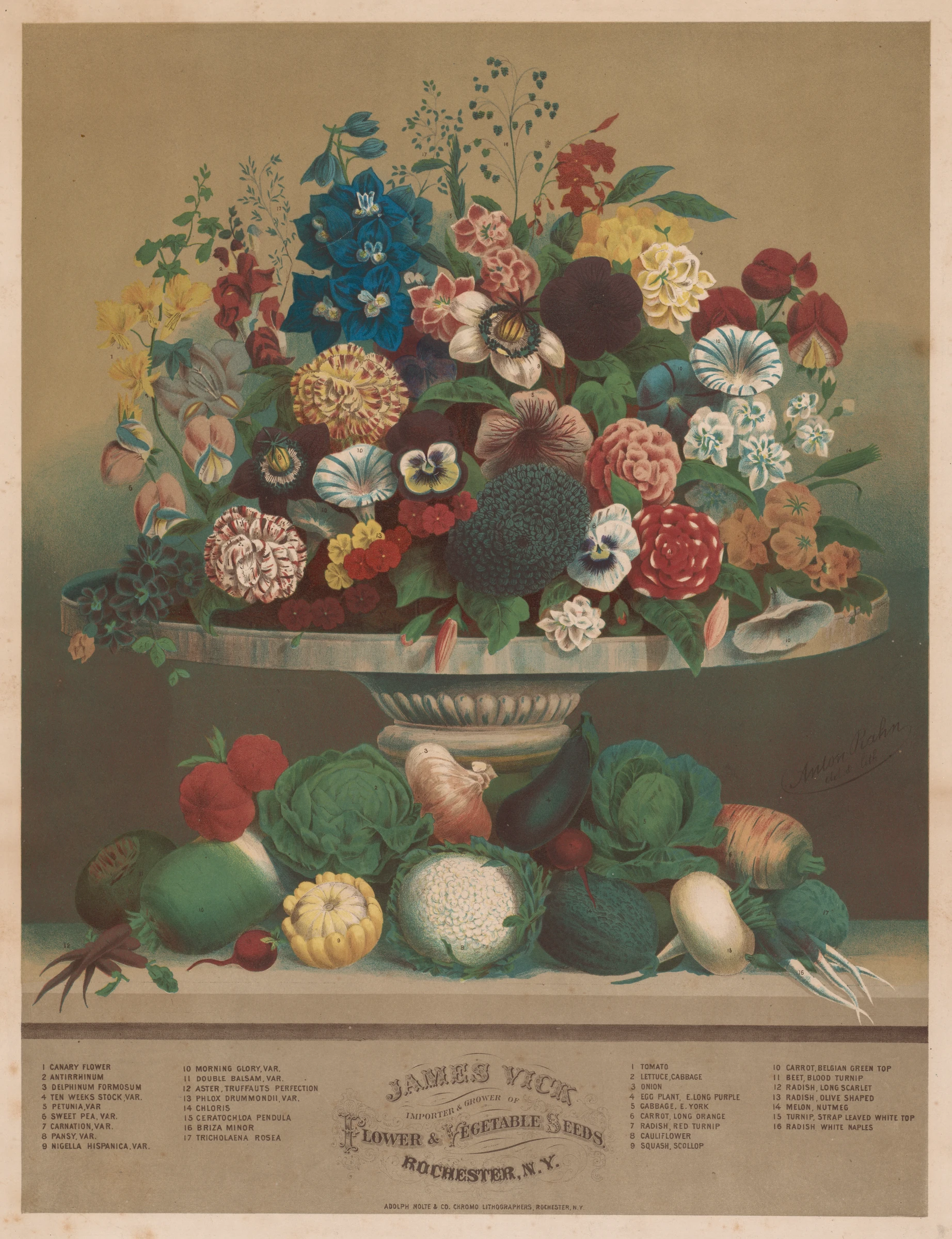Flowers and Vegetables by Anton Carl Rahn