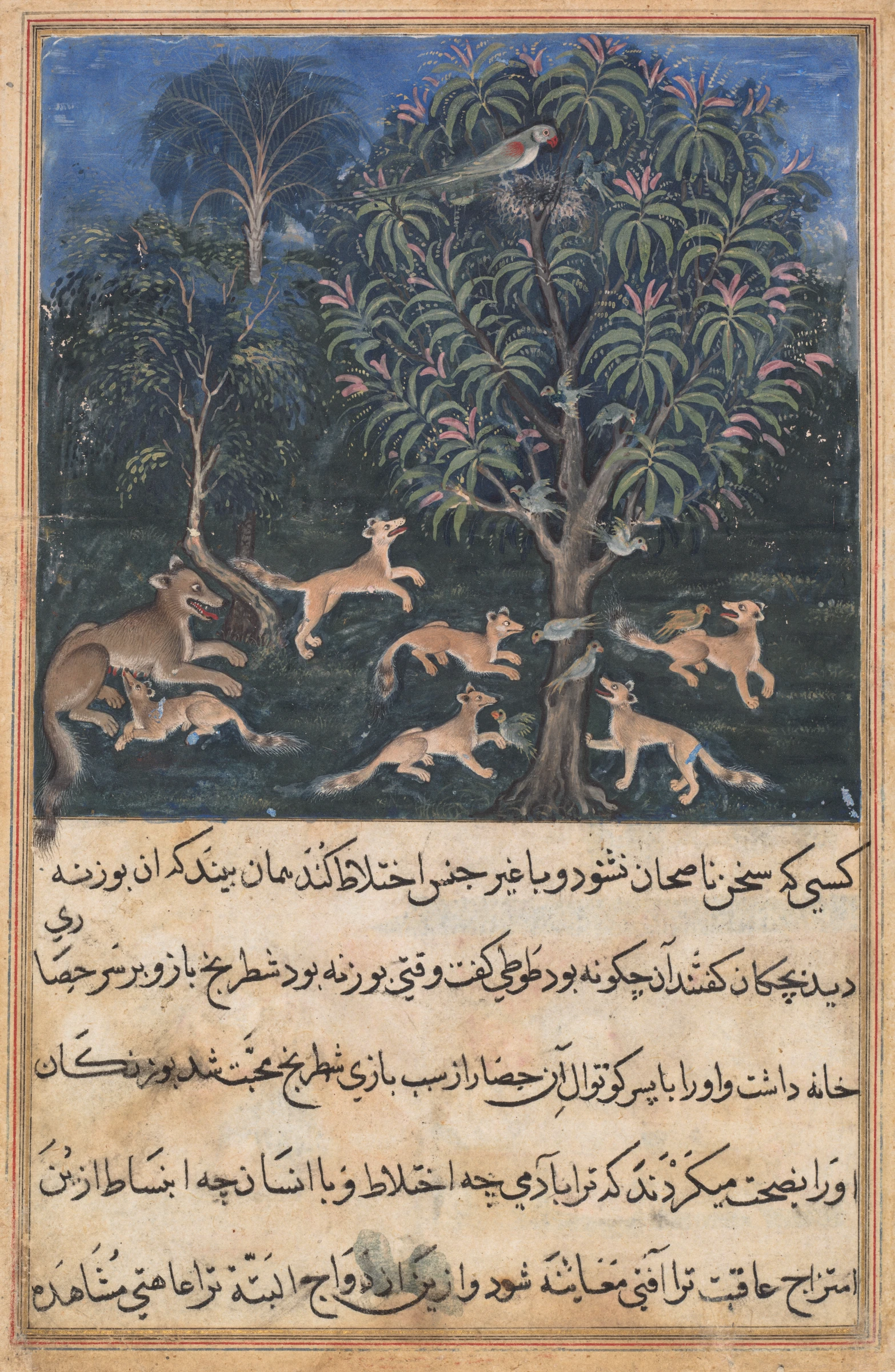 The parrot mother cautions her young on the danger of playing with foxes, from a Tuti-nama (Tales of a Parrot): Fifth Night by Dasavanta