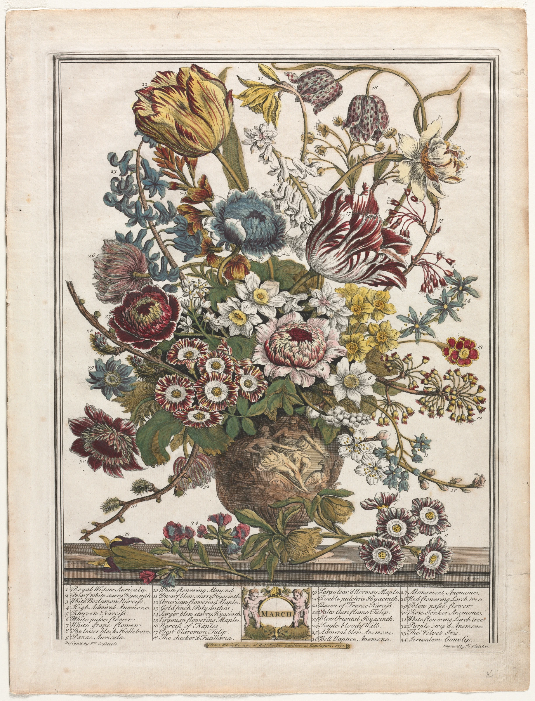 Twelve Months of Flowers: March by Henry Fletcher