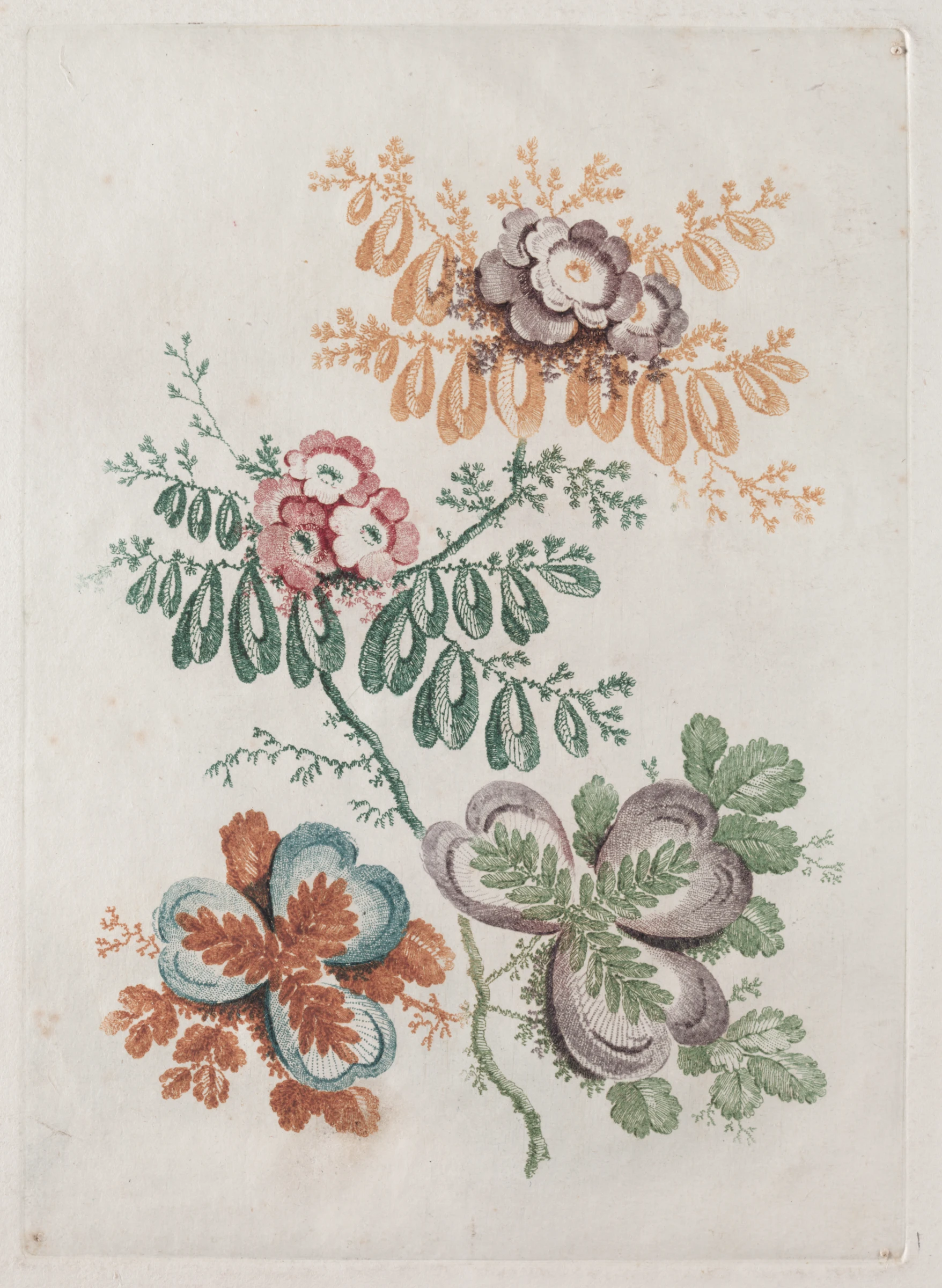 New Suite of Portfolios of Flowers Ideal to Use for Designing and Painting: Floral Fantasies by Anne Allen; Jean Baptiste Pillement