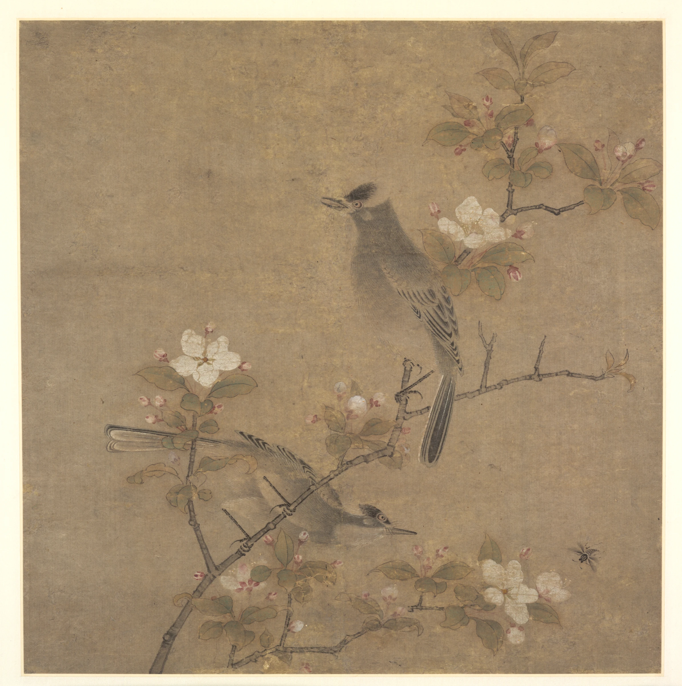 Flowers and Birds by Qian Xuan