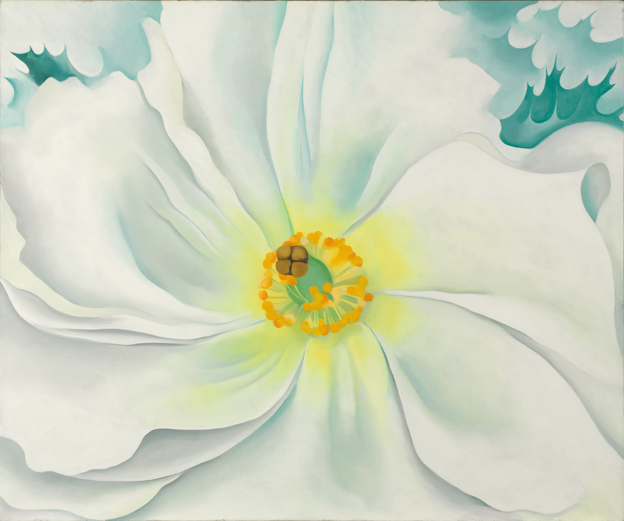 White Flower by Georgia O'Keeffe
