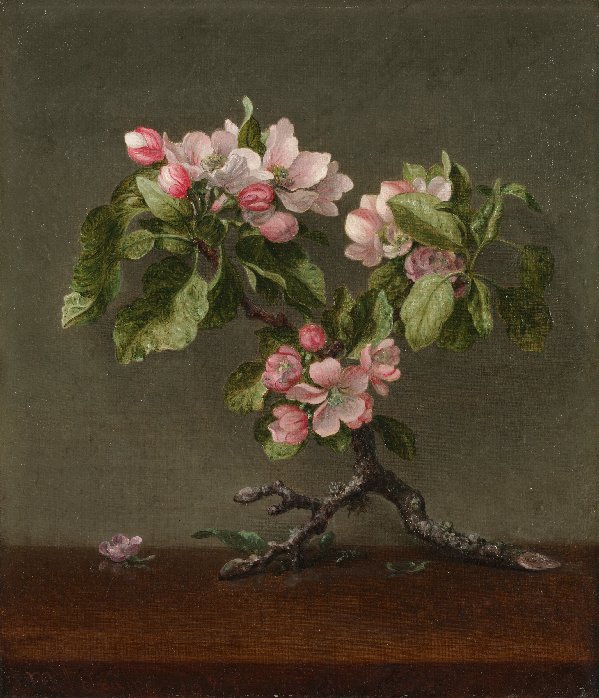 Apple Blossoms by Martin Johnson Heade