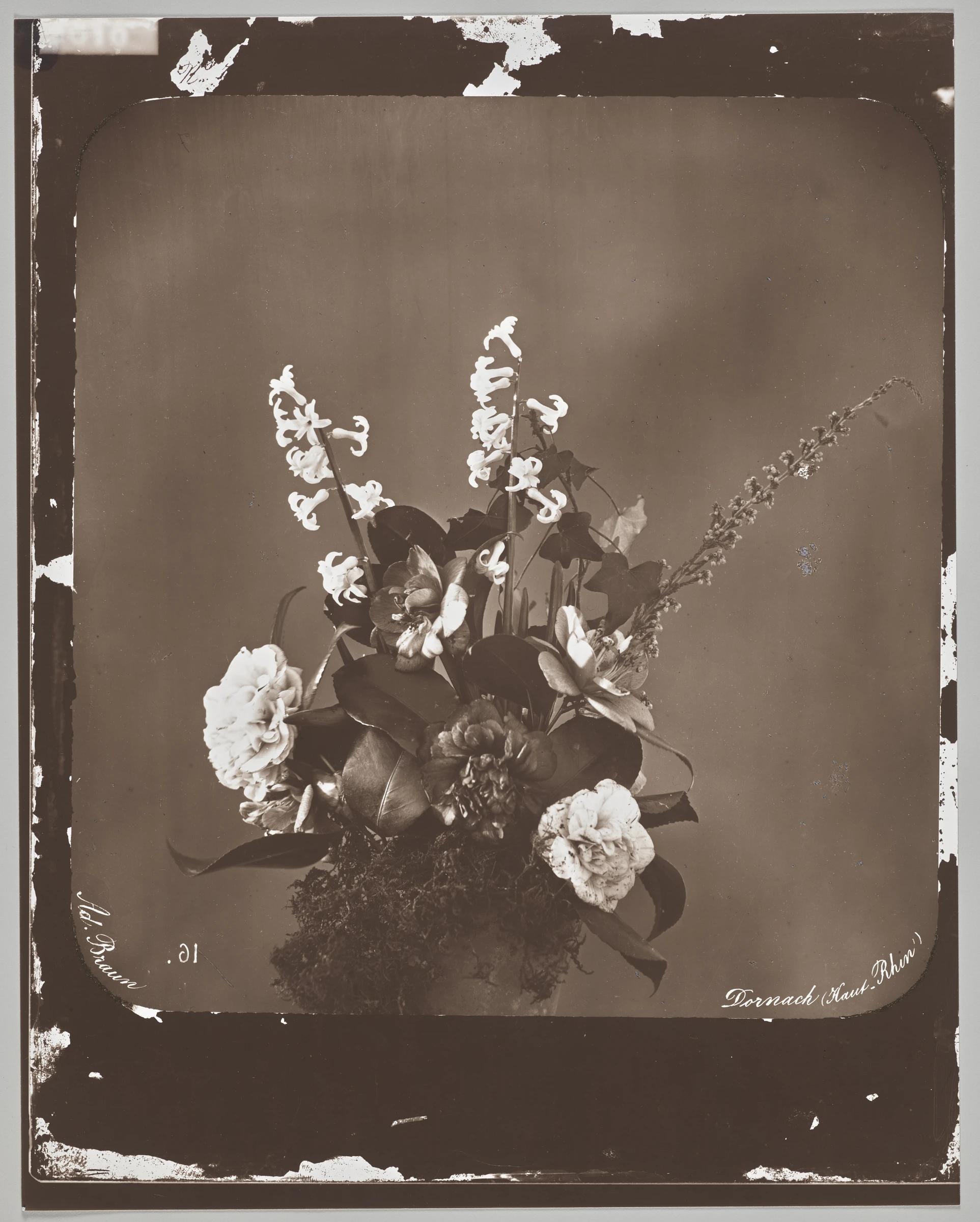 Untitled (flower arrangement) by Adolphe Braun