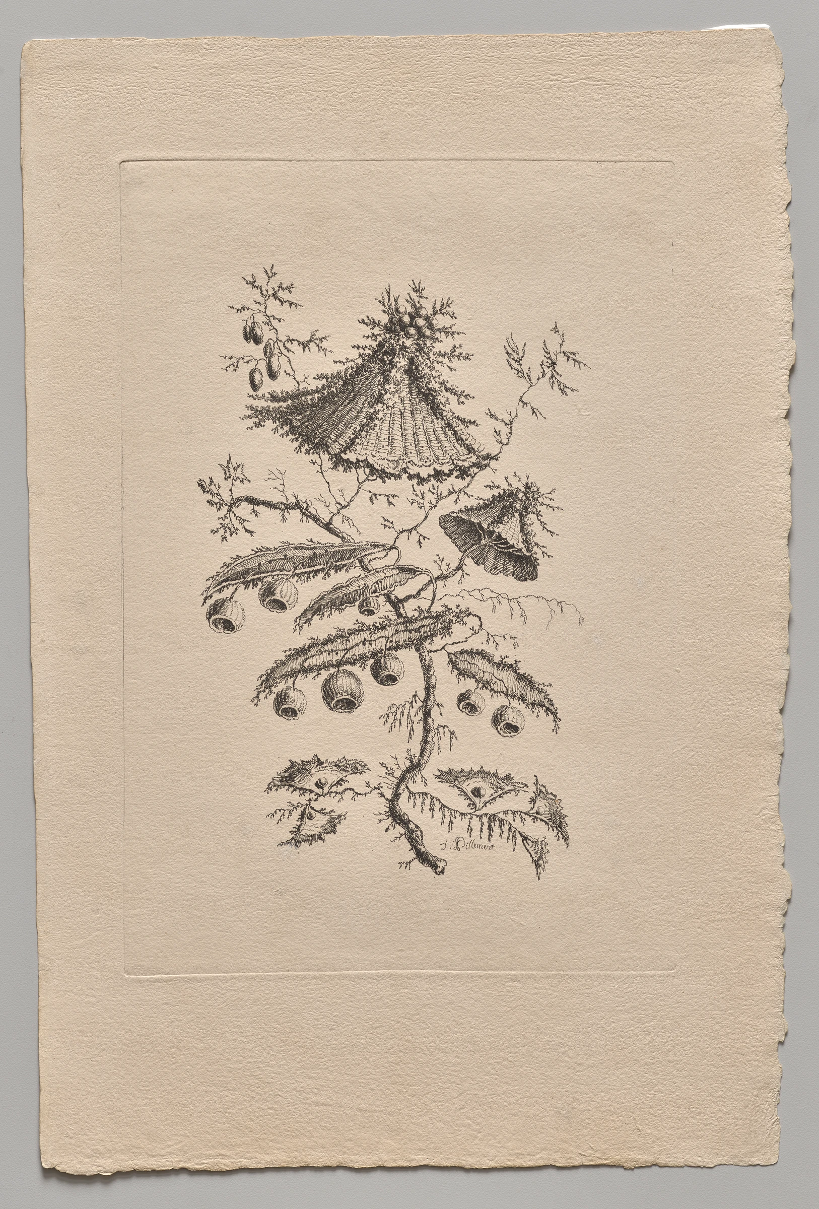 Persian Flowers by Jean Baptiste Pillement