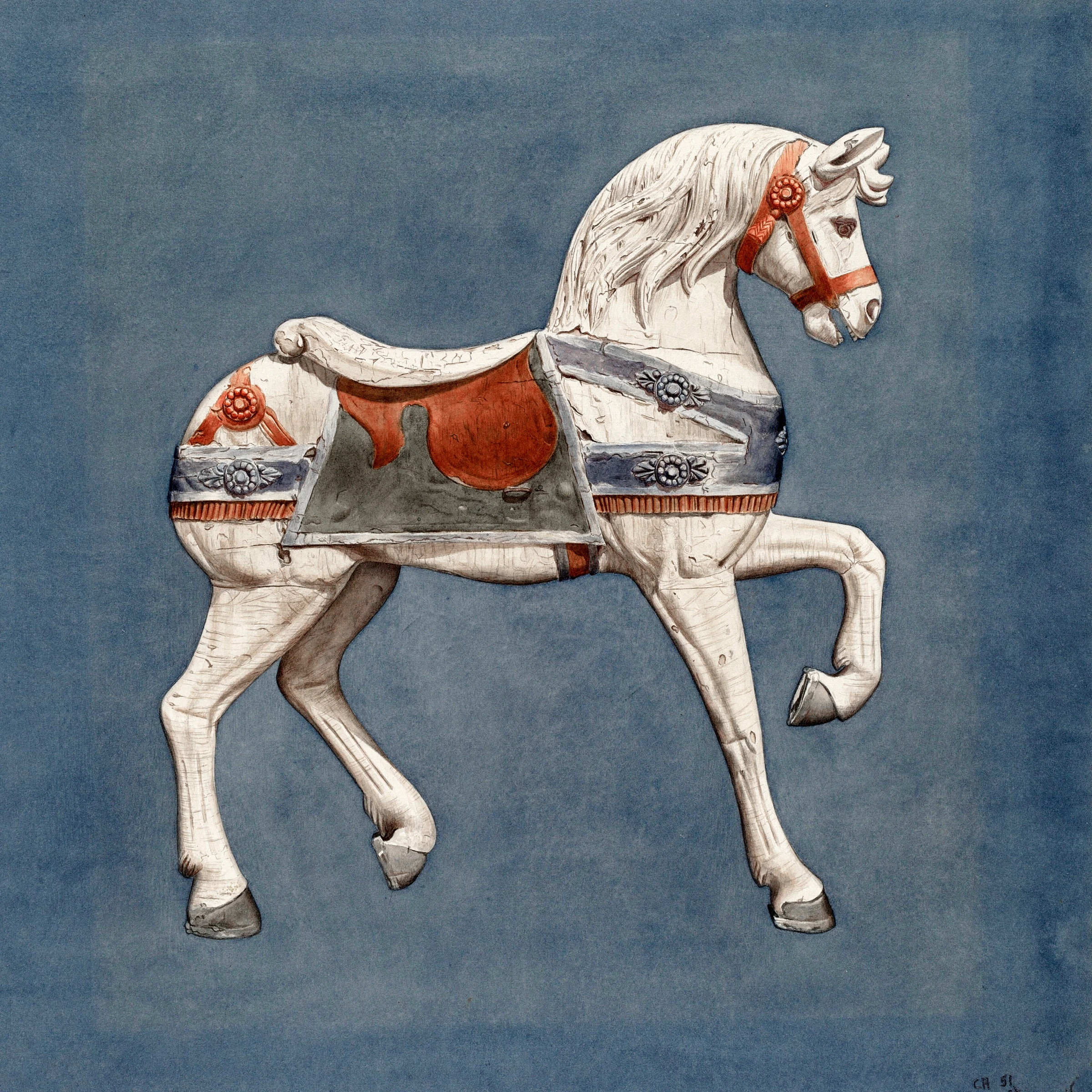 animals (35)