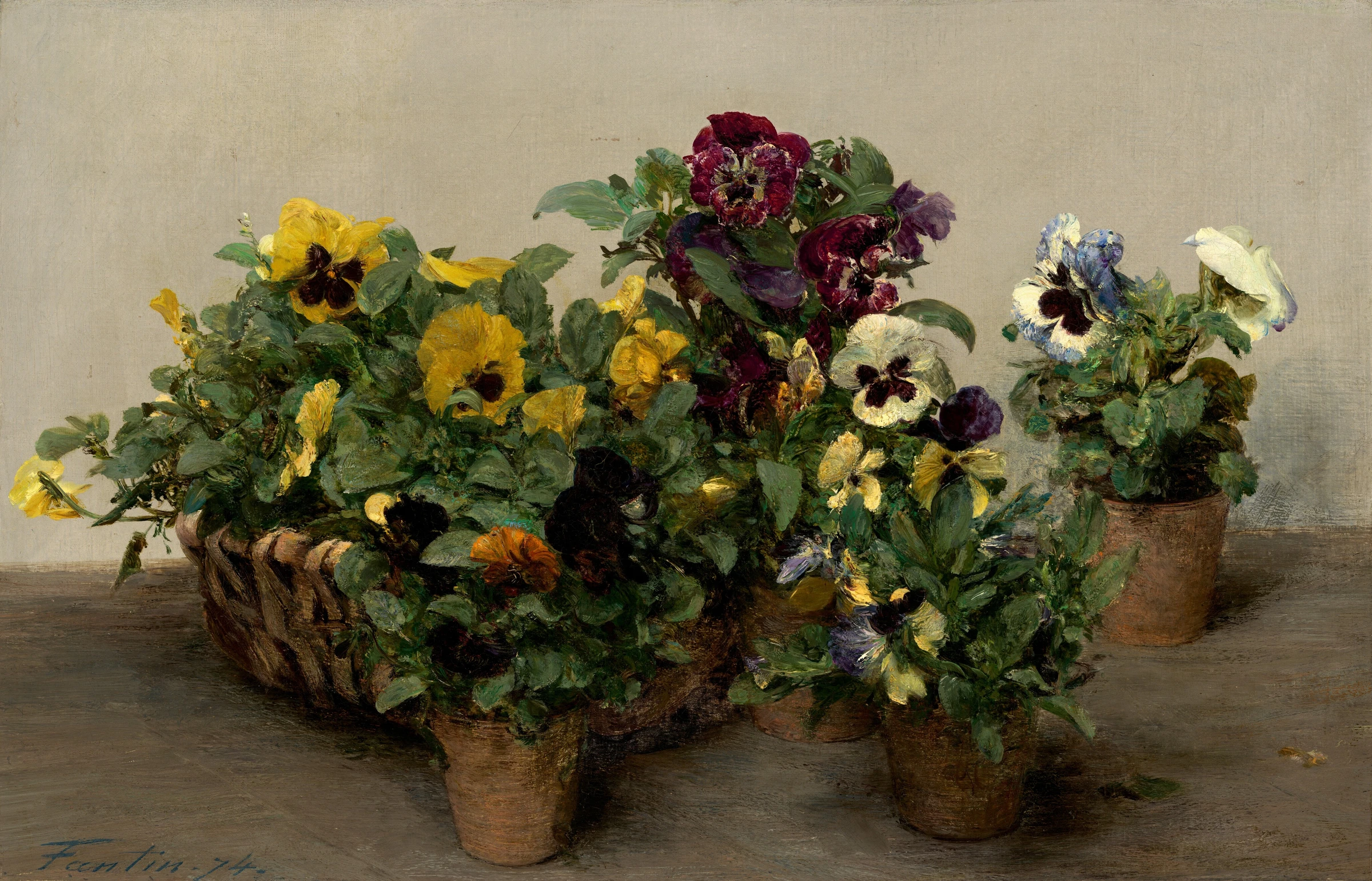 Pansies 2014.18.10