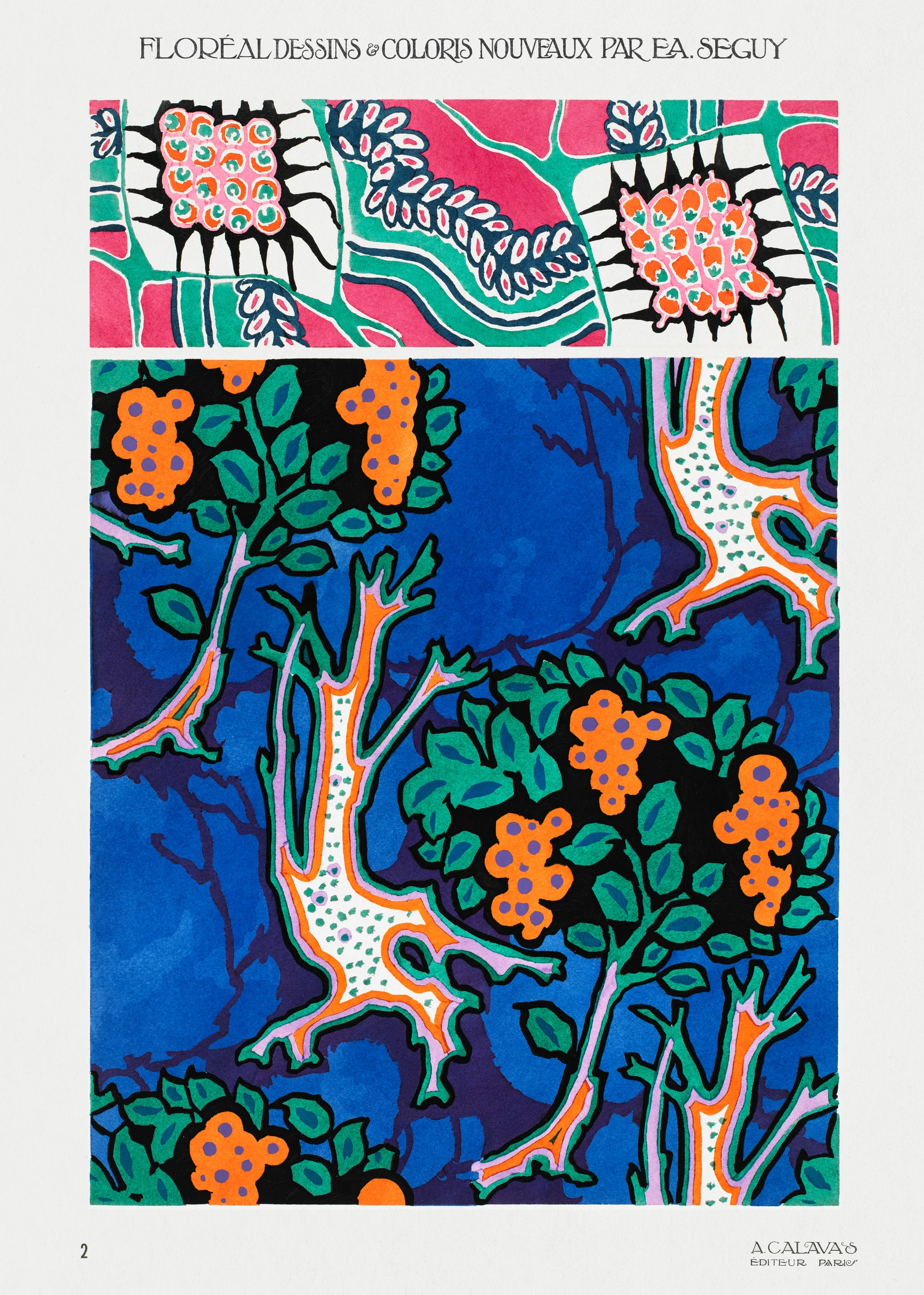 Trendy Prints (233)