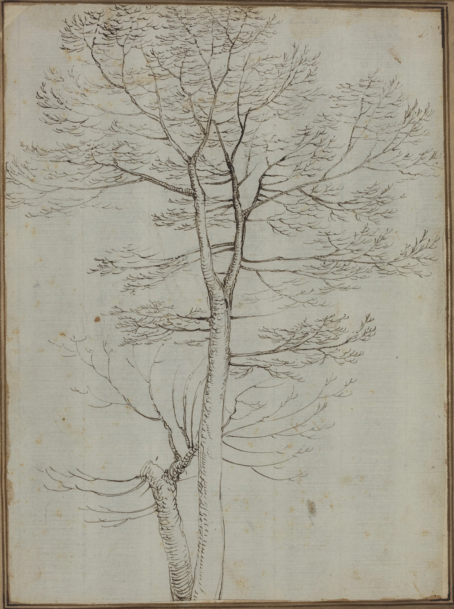 bare tree verso 1959.16.3.b