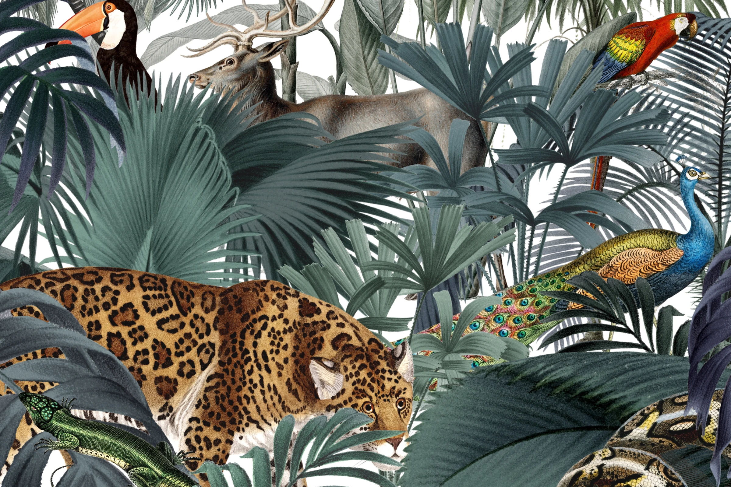aanimals135