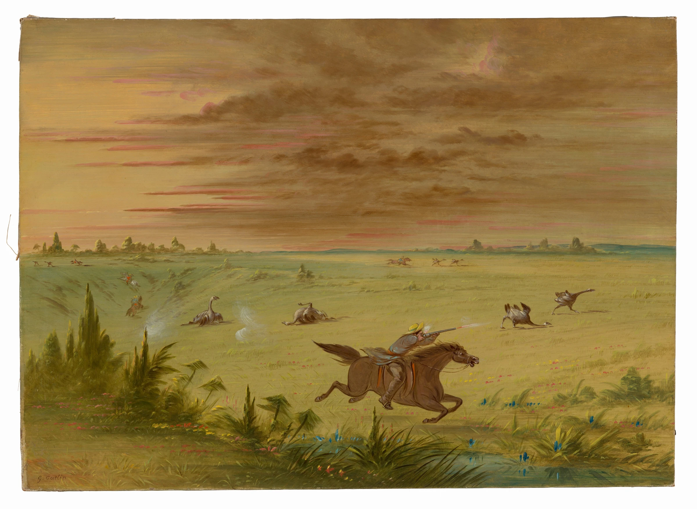 Ostrich Chase, Buenos Aires Auca 1965.16.257