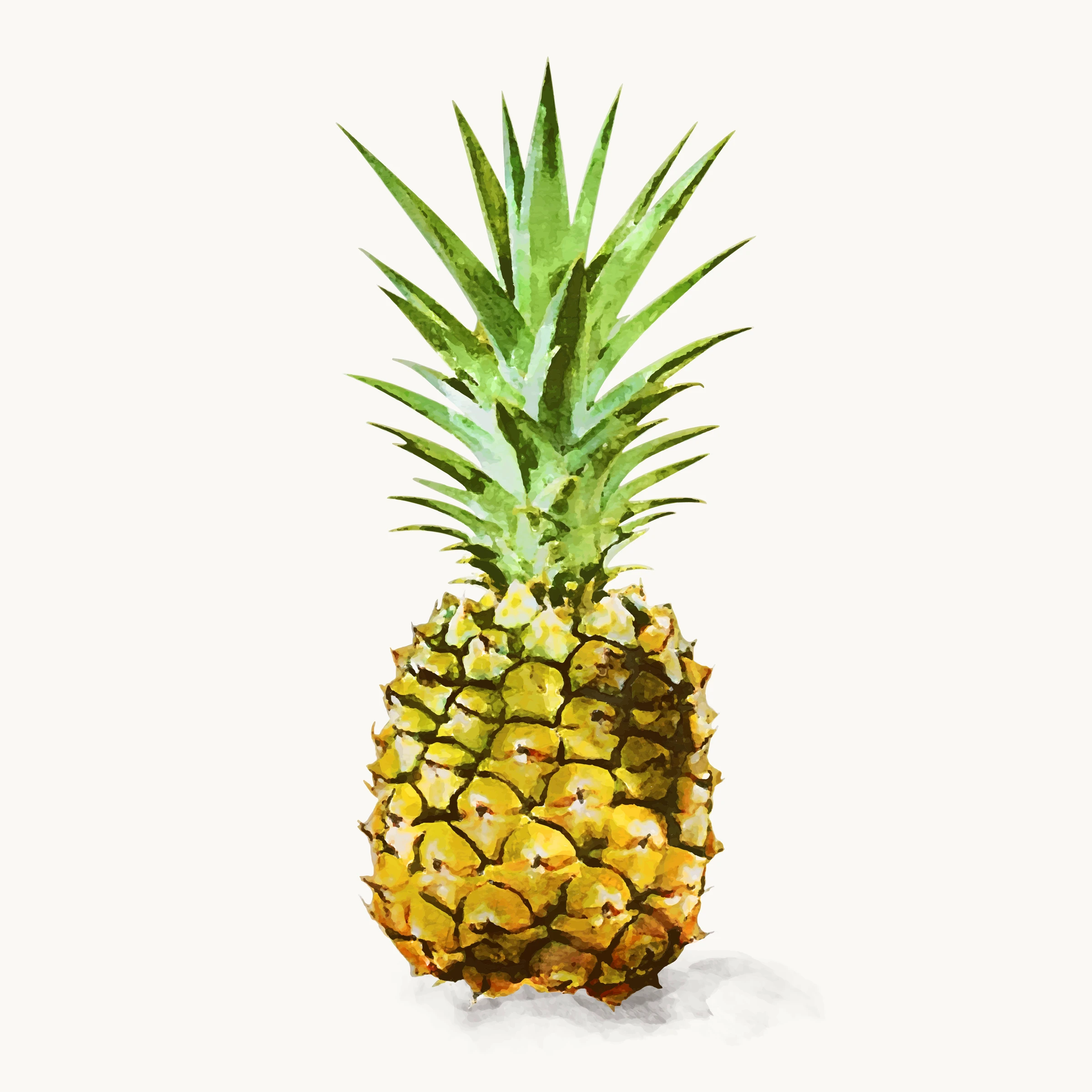 fruitss (109)