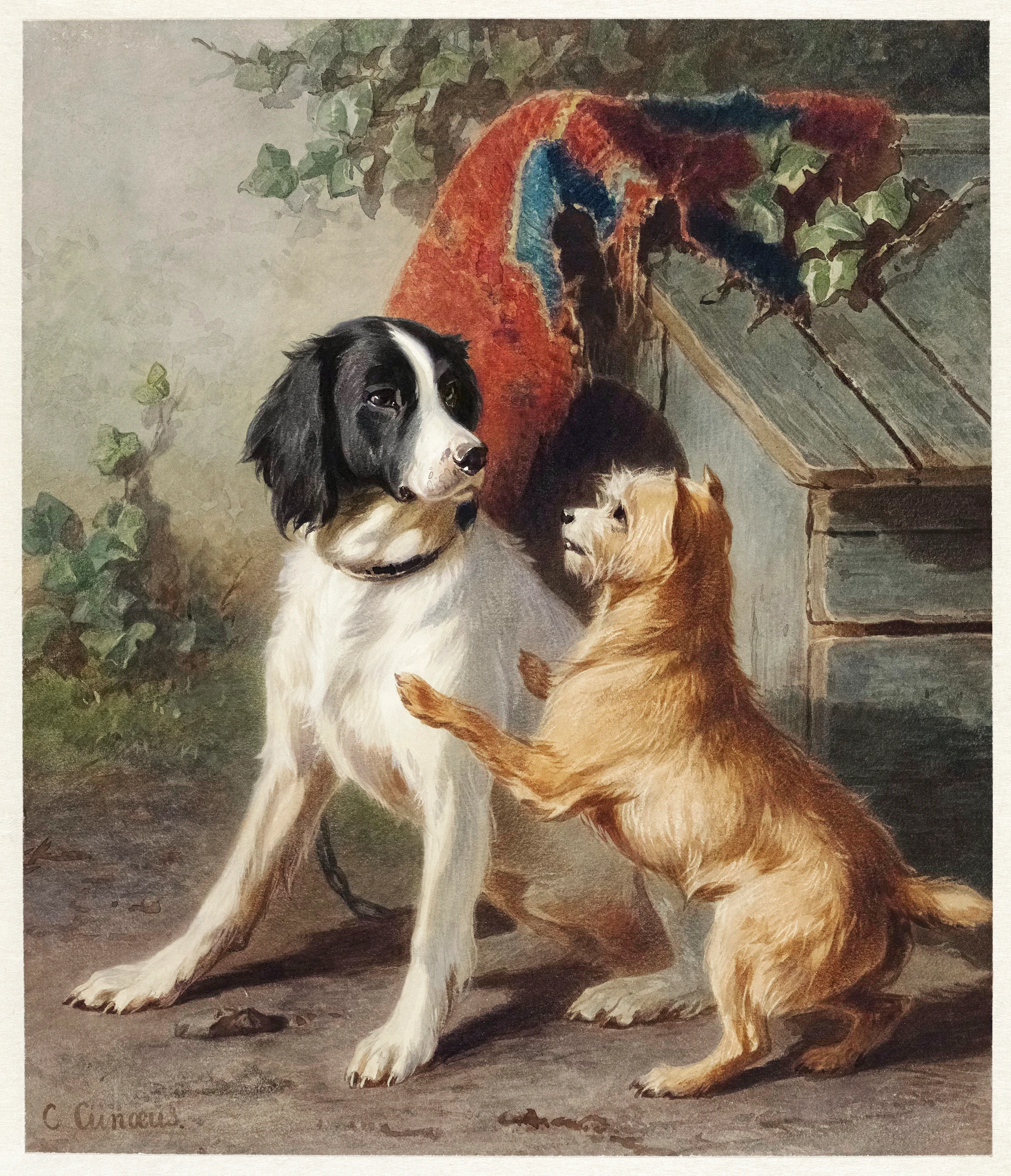 animals (307)
