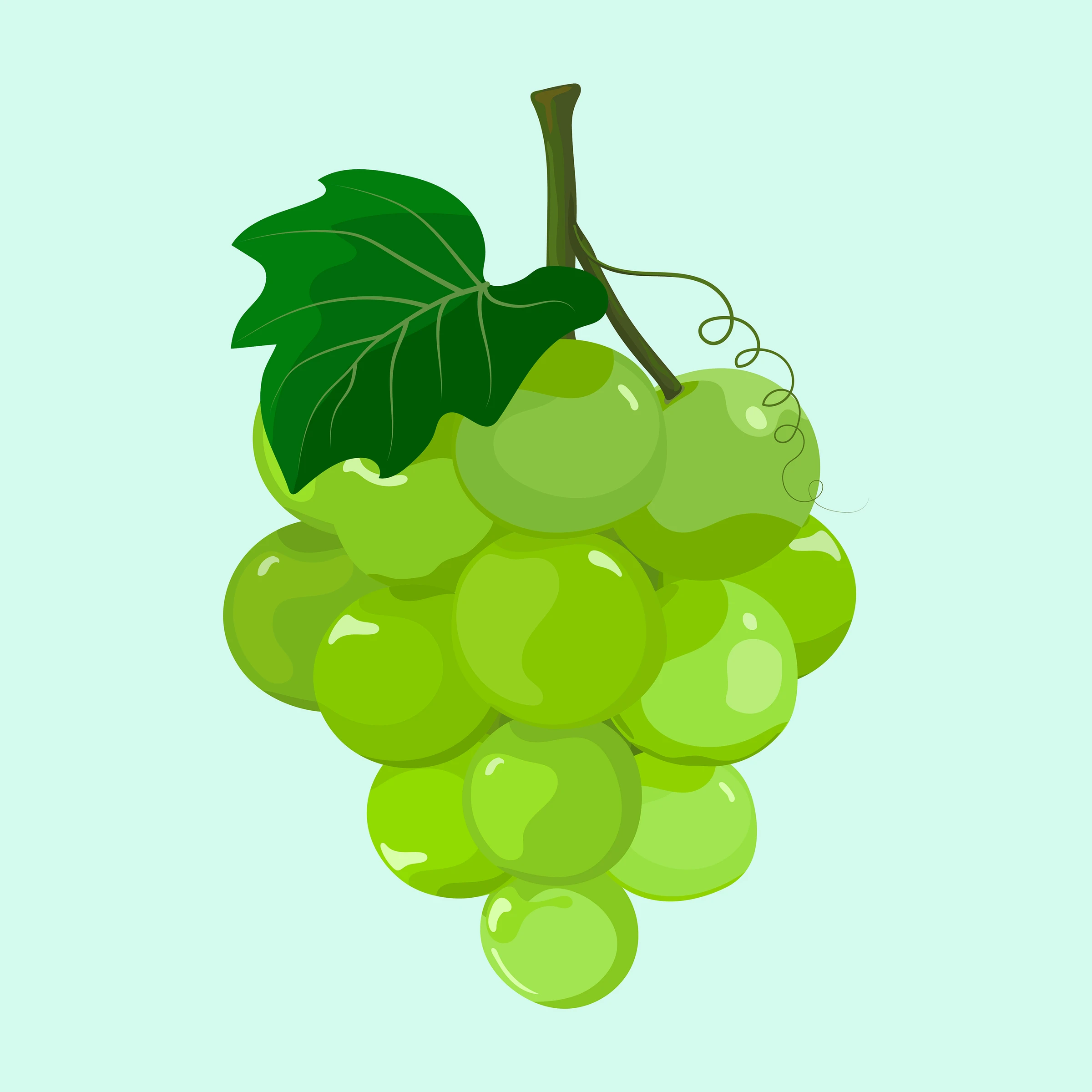 fruitss (143)