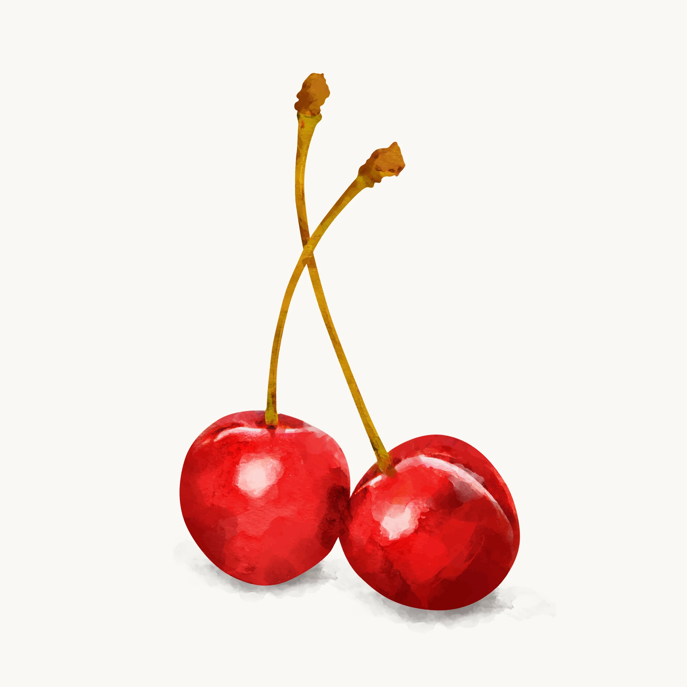 fruitss (114)
